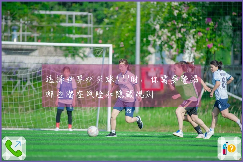 选择世界杯买球APP时，你需要警惕哪些潜在风险和隐藏规则