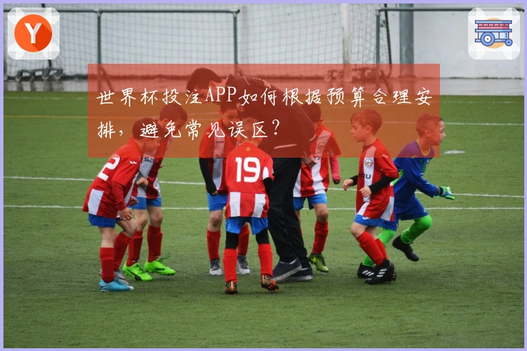 世界杯投注APP如何根据预算合理安排，避免常见误区？