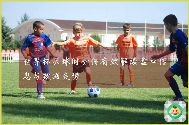 世界杯买球时如何有效解读盘口信息与数据走势