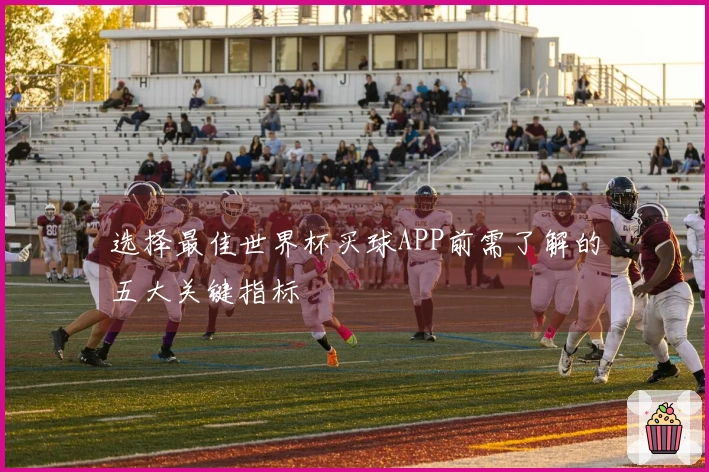 选择最佳世界杯买球APP前需了解的五大关键指标