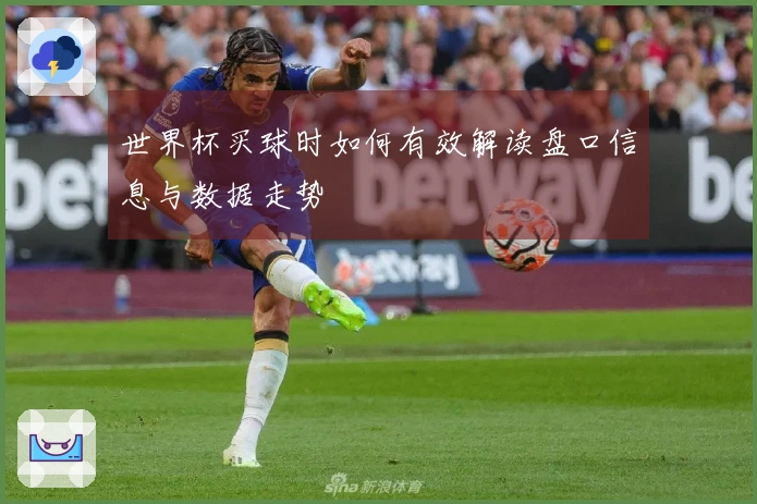 世界杯买球时如何有效解读盘口信息与数据走势