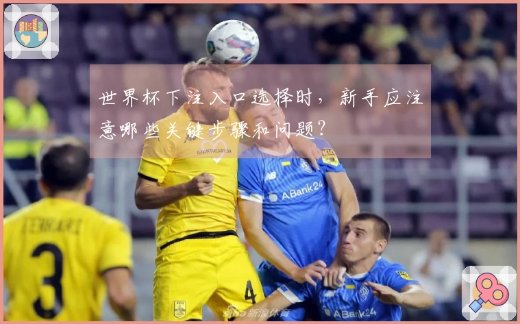 世界杯下注入口选择时，新手应注意哪些关键步骤和问题？