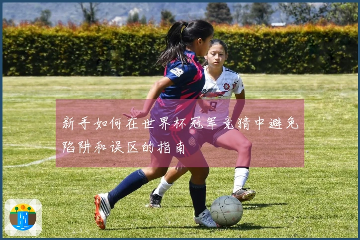 新手如何在世界杯冠军竞猜中避免陷阱和误区的指南