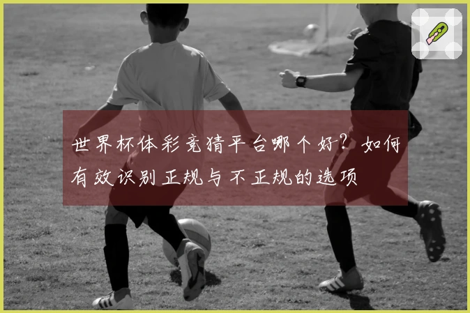 世界杯体彩竞猜平台哪个好？如何有效识别正规与不正规的选项