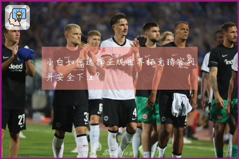 小白如何选择正规世界杯竞猜官网并安全下注？