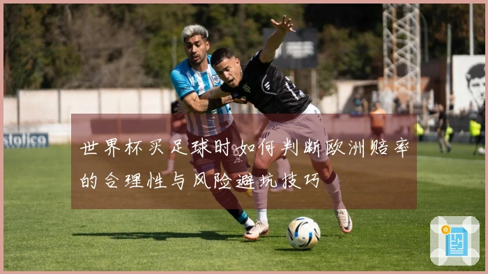 世界杯买足球时如何判断欧洲赔率的合理性与风险避坑技巧