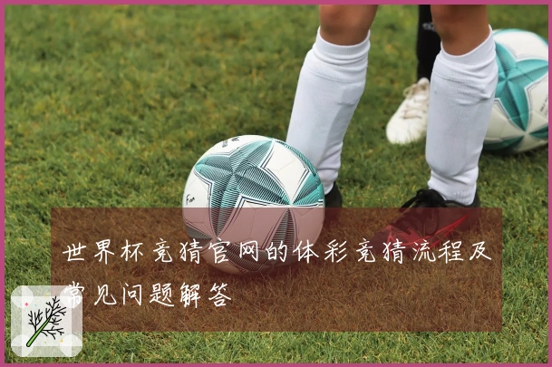 世界杯竞猜官网的体彩竞猜流程及常见问题解答