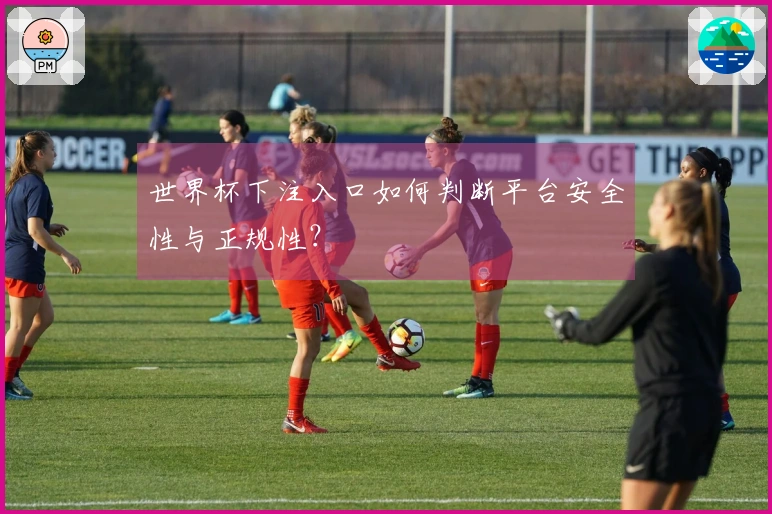 世界杯下注入口如何判断平台安全性与正规性？