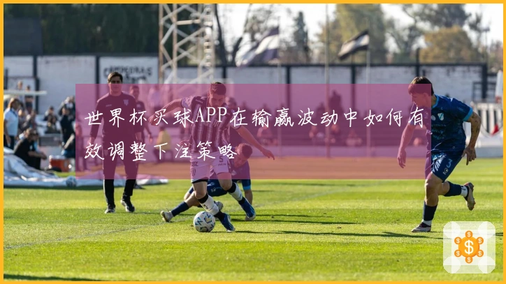 世界杯买球APP在输赢波动中如何有效调整下注策略