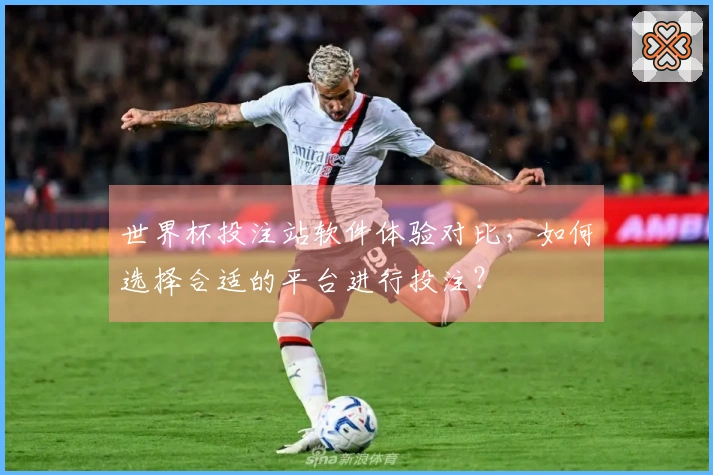 世界杯投注站软件体验对比，如何选择合适的平台进行投注？