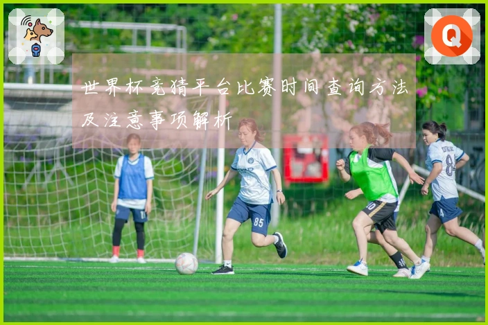 世界杯竞猜平台比赛时间查询方法及注意事项解析