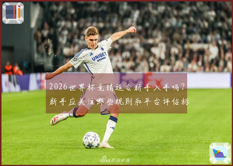 2026世界杯竞猜适合新手入手吗？新手应关注哪些规则和平台评估标准