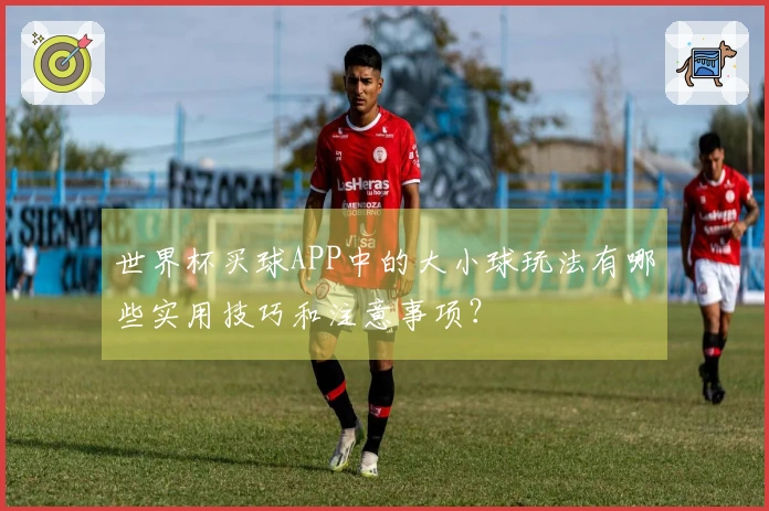 世界杯买球APP中的大小球玩法有哪些实用技巧和注意事项？