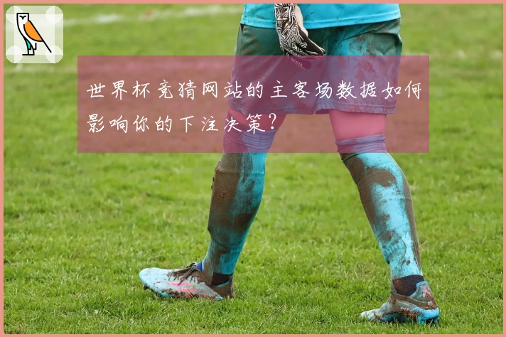 世界杯竞猜网站的主客场数据如何影响你的下注决策？