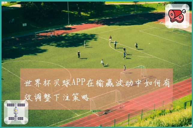 世界杯买球APP在输赢波动中如何有效调整下注策略