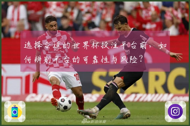 选择合适的世界杯投注平台前，如何辨别平台的可靠性与风险？