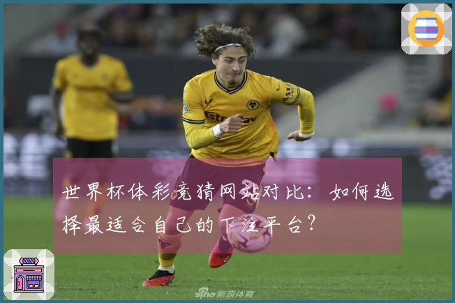 世界杯体彩竞猜网站对比：如何选择最适合自己的下注平台？