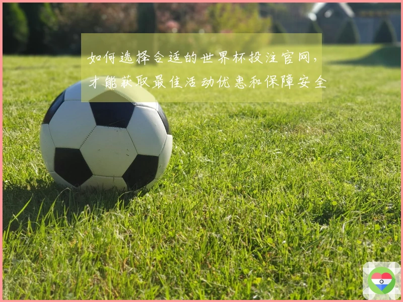 如何选择合适的世界杯投注官网，才能获取最佳活动优惠和保障安全？