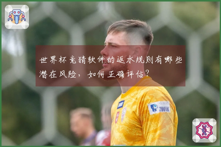 世界杯竞猜软件的返水规则有哪些潜在风险,如何正确评估?