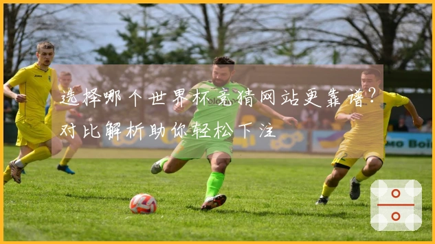 选择哪个世界杯竞猜网站更靠谱？对比解析助你轻松下注