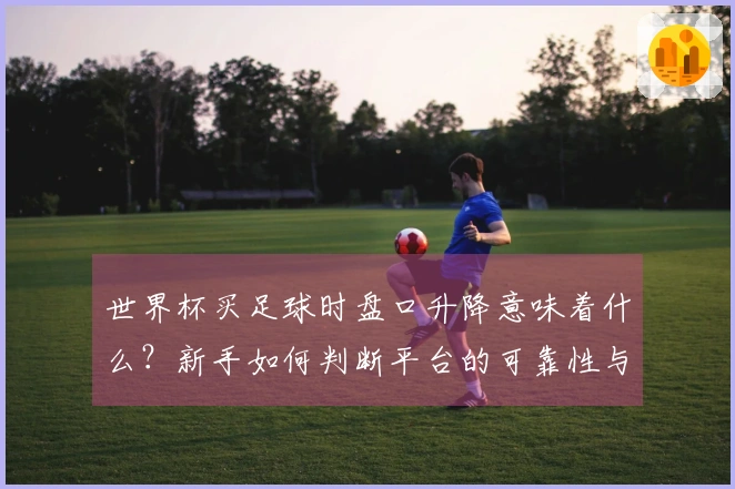 世界杯买足球时盘口升降意味着什么？新手如何判断平台的可靠性与安全性