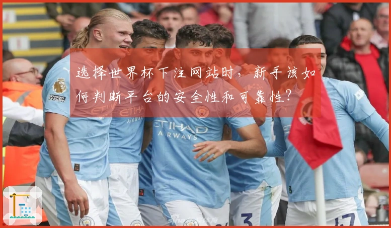 选择世界杯下注网站时，新手该如何判断平台的安全性和可靠性？