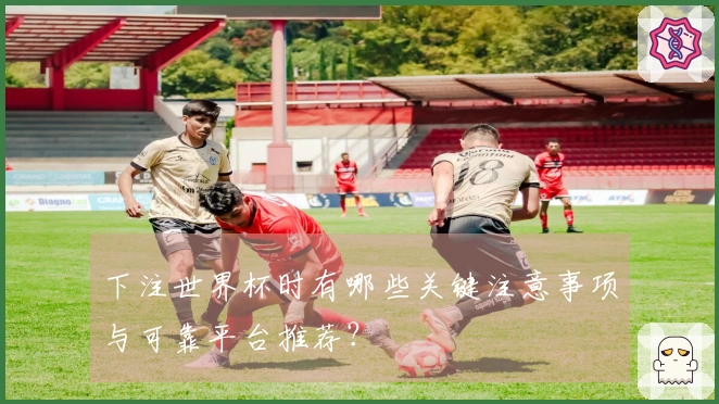 下注世界杯时有哪些关键注意事项与可靠平台推荐？