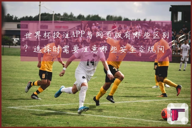 世界杯投注APP与网页版有哪些区别？选择时需要注意哪些安全合规问题？