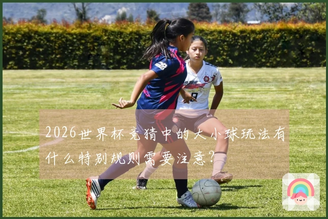 2026世界杯竞猜中的大小球玩法有什么特别规则需要注意？