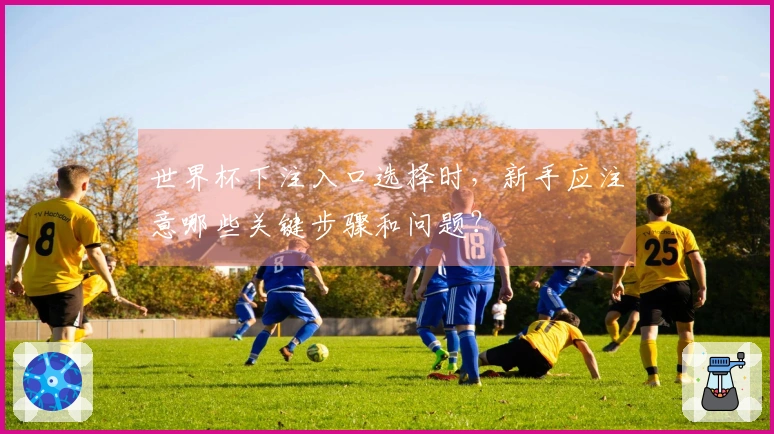 世界杯下注入口选择时，新手应注意哪些关键步骤和问题？